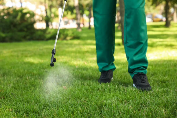 Pest Control for Restaurants in Bel Nor, MO