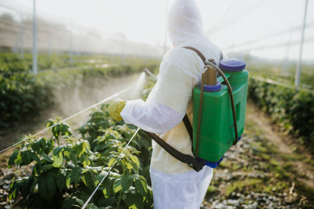 Best Cockroach Control Services  in Bel Nor, MO